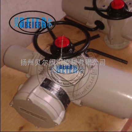 罗托克电动执行器IQC