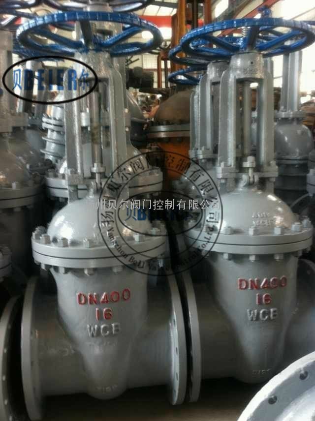 Z41H-25C DN250铸钢闸阀