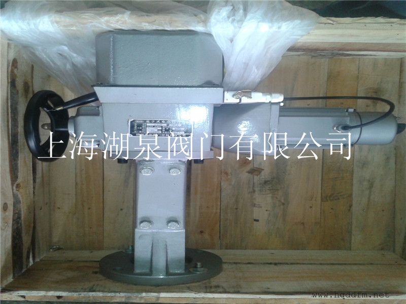 DKZ-310CX直行程电动执行器 