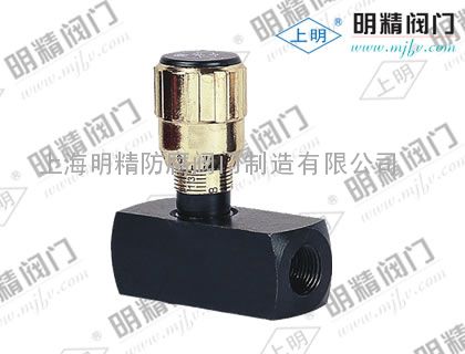 AL型管式节流单向阀