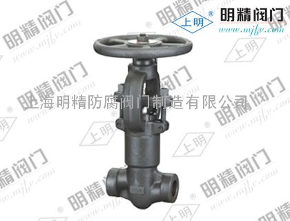 Z61Y-300LB美标锻钢自密封闸阀