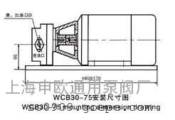 WCB-30微型二相防爆型铜齿轮输油泵220V