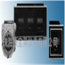 X54-200防爆数显仪
