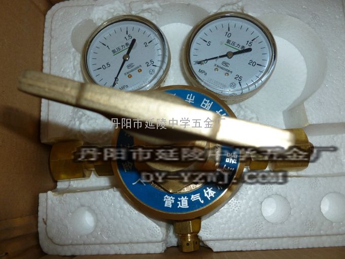 大流量氧气管路减压器（单节双表式）