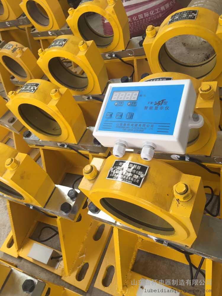 行车超载限制器显示仪FW-25T型山东鲁北电器制造有限公司