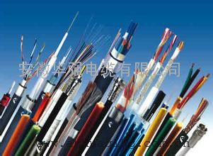 ZR-BPVVRP 3*10+1*6变频屏蔽软电缆