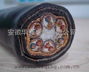 RVVP 10*2*1.5 仪表屏蔽电缆