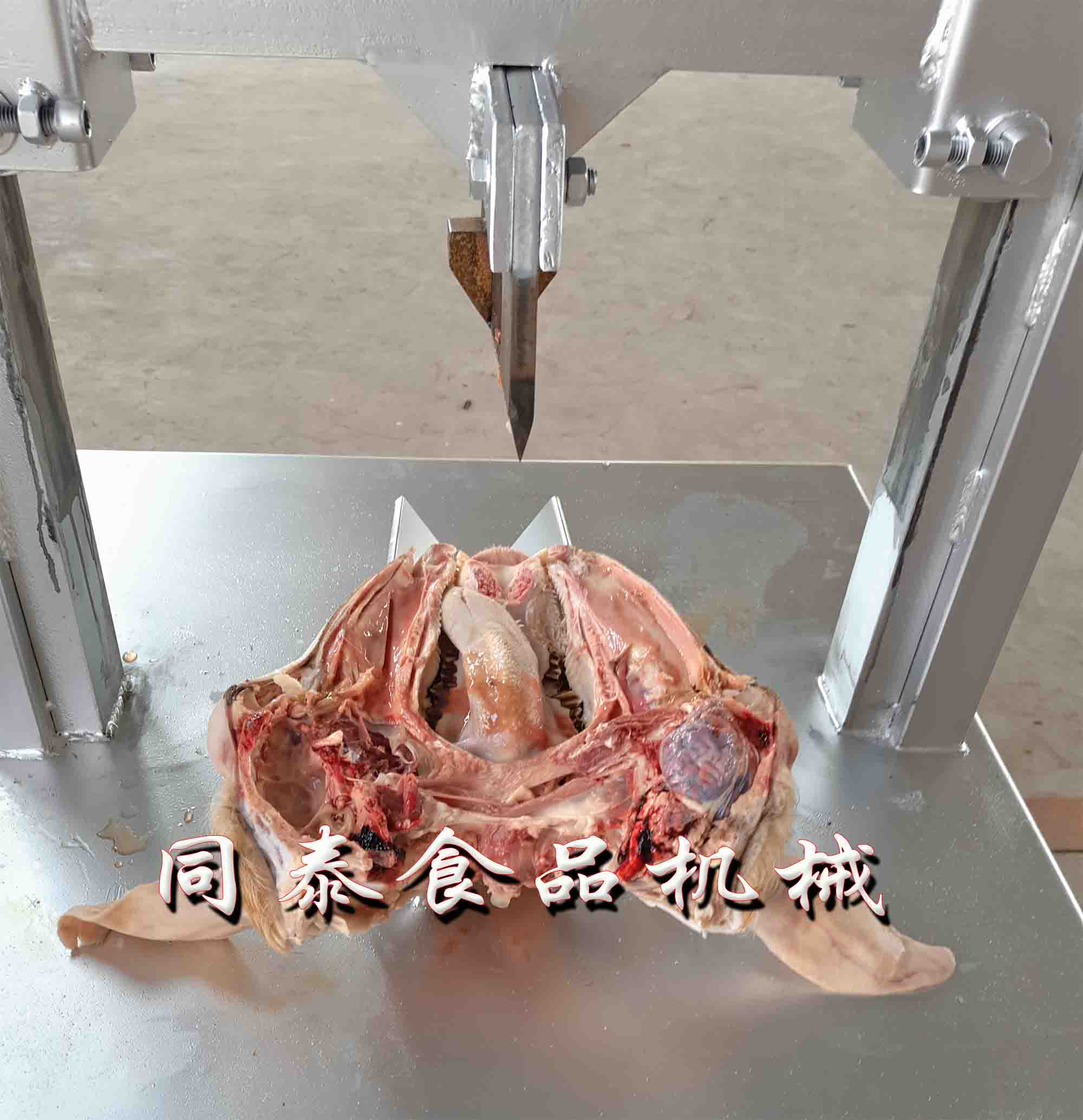 新型不锈钢羊头劈半机
