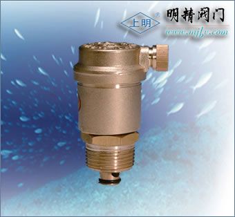 微量排气阀