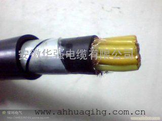 仪表控制电缆ZR-KYJV 12*1.5