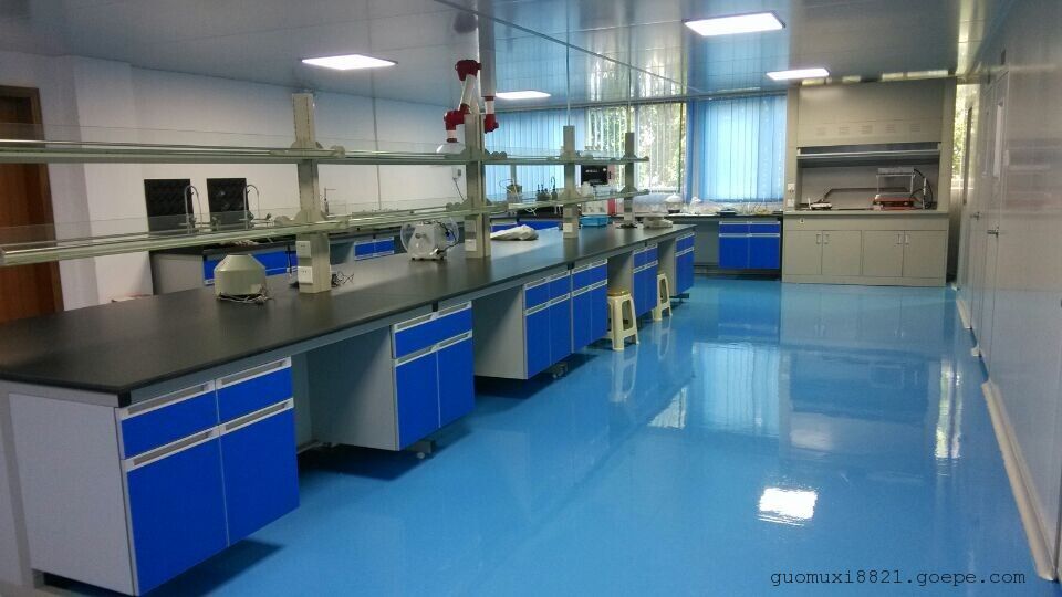 东莞实验室家具实验台通风柜*生产厂家，厂家直销，可非标定做