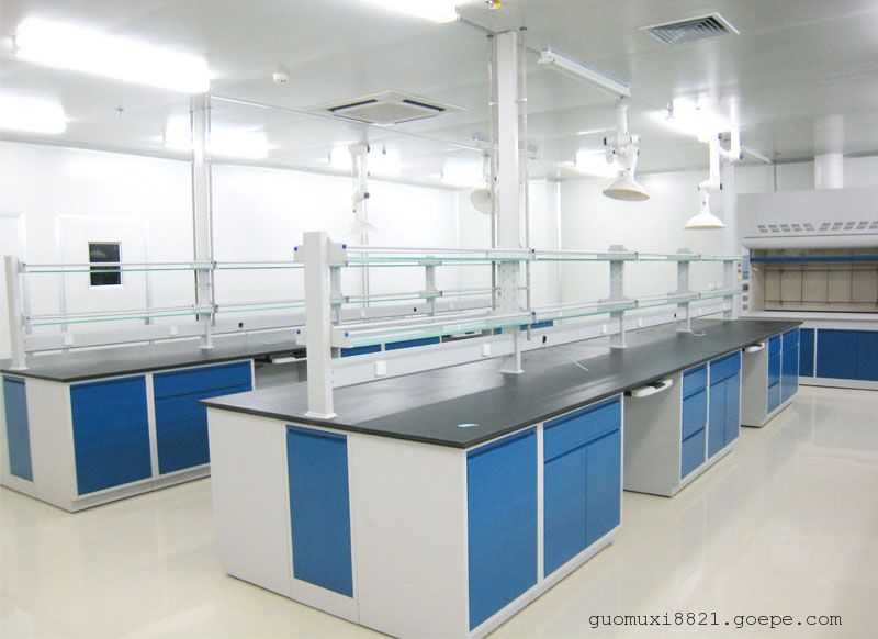广西实验室家具，实验台。通风厨通风柜生产厂家，环扬*承建