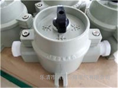 SW-10/220V防爆照明开关SW-10/380V