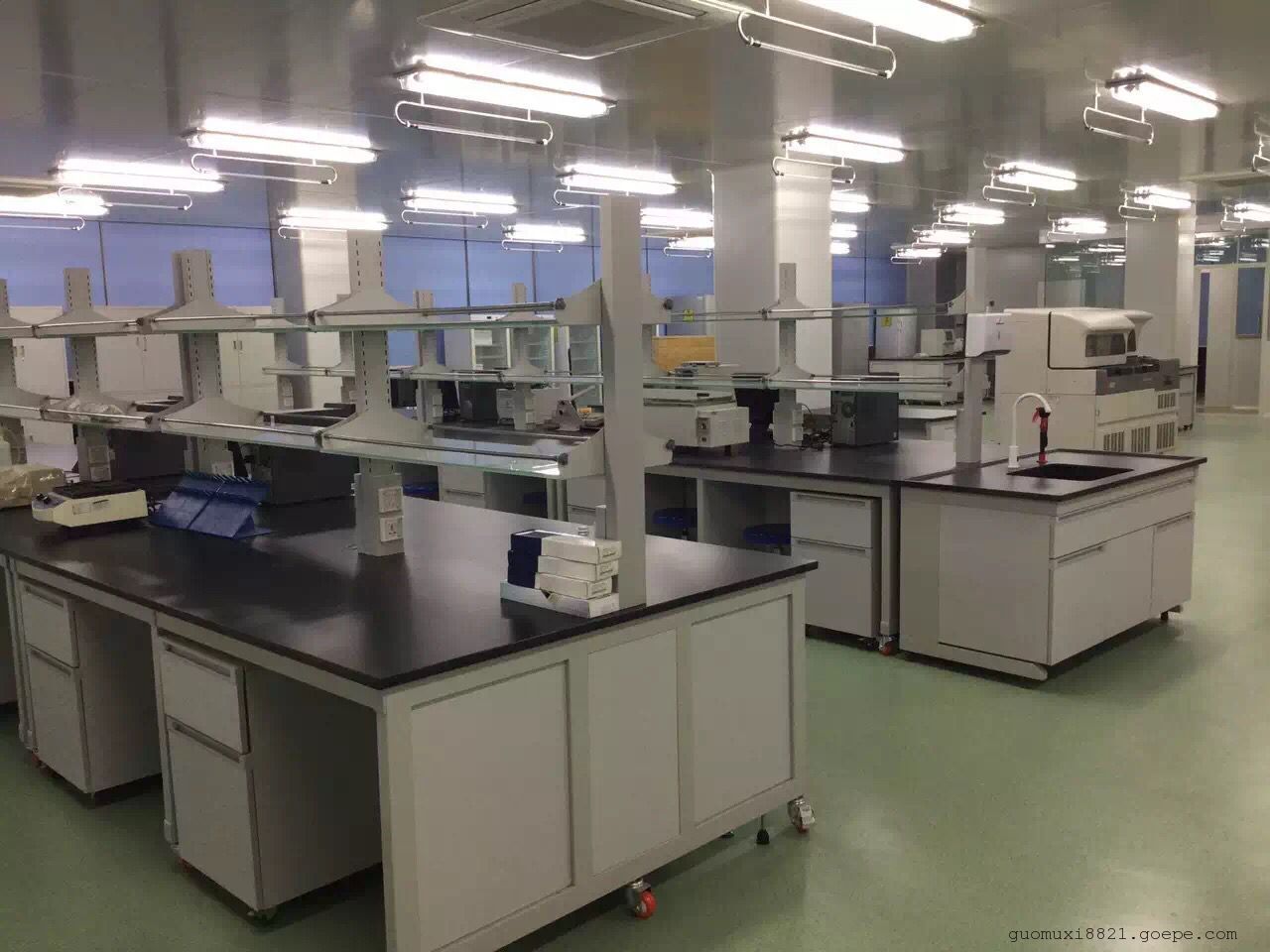 环扬*供应广州各市区实验室家具，实验台，通风柜，厂家直销