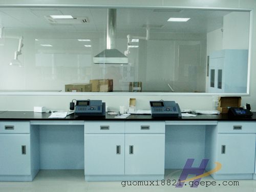 广州实验台，广州实验室家具，广州通风柜，广州实验室装修