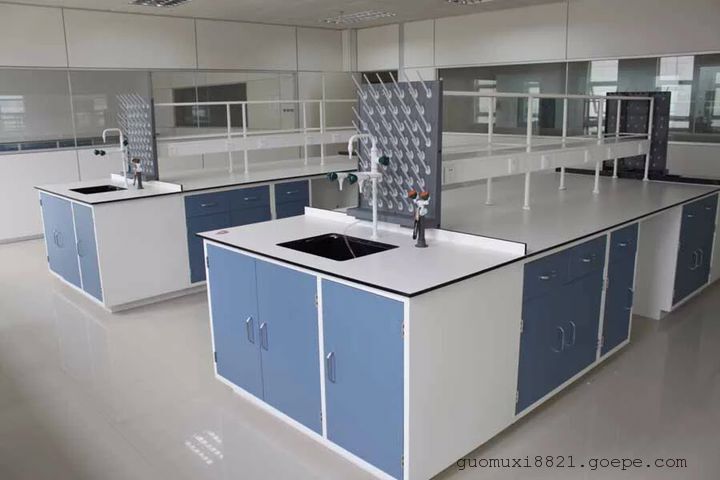 湖南实验台，实验室家具，全钢实验台，钢木实验台