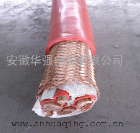 ZR-YJVP 3*10+1*6