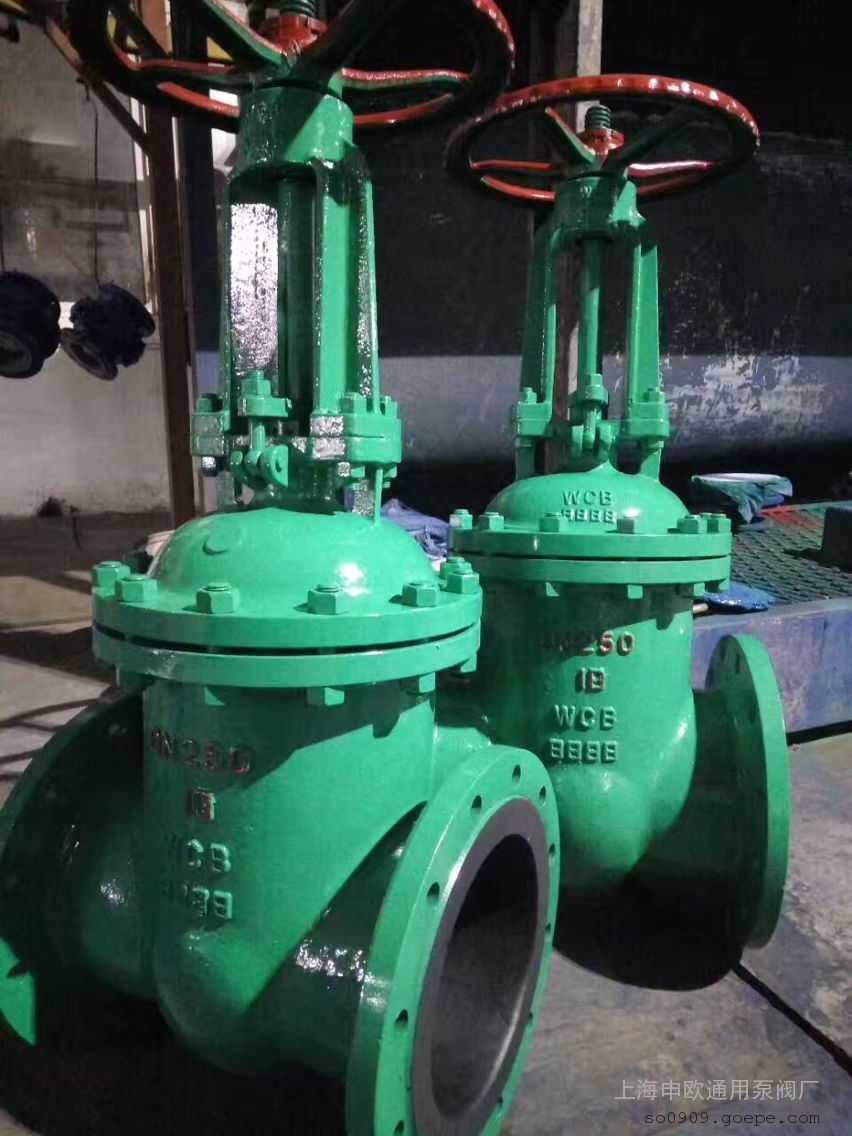 Z41J-16-DN150耐腐耐磨衬胶闸阀