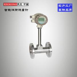 流量計XZ熙正