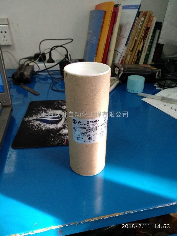 Easidew I.S防爆型在线露点变送器 MICHELL密析尔