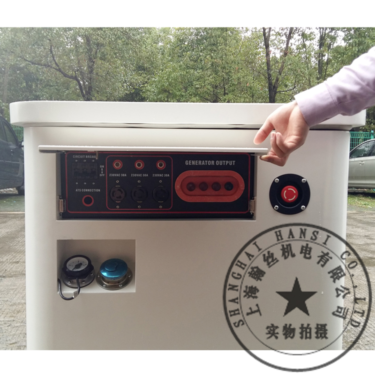 HANSI翰丝单相/三相20KW汽油发电机HS20REG