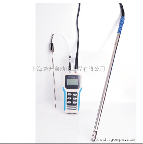 TS2000便携式热式气体质量流量计