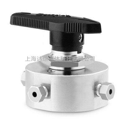 SS-8TF2-40过滤器美国世伟洛克Swagelok阀门总代理达琼流体现货