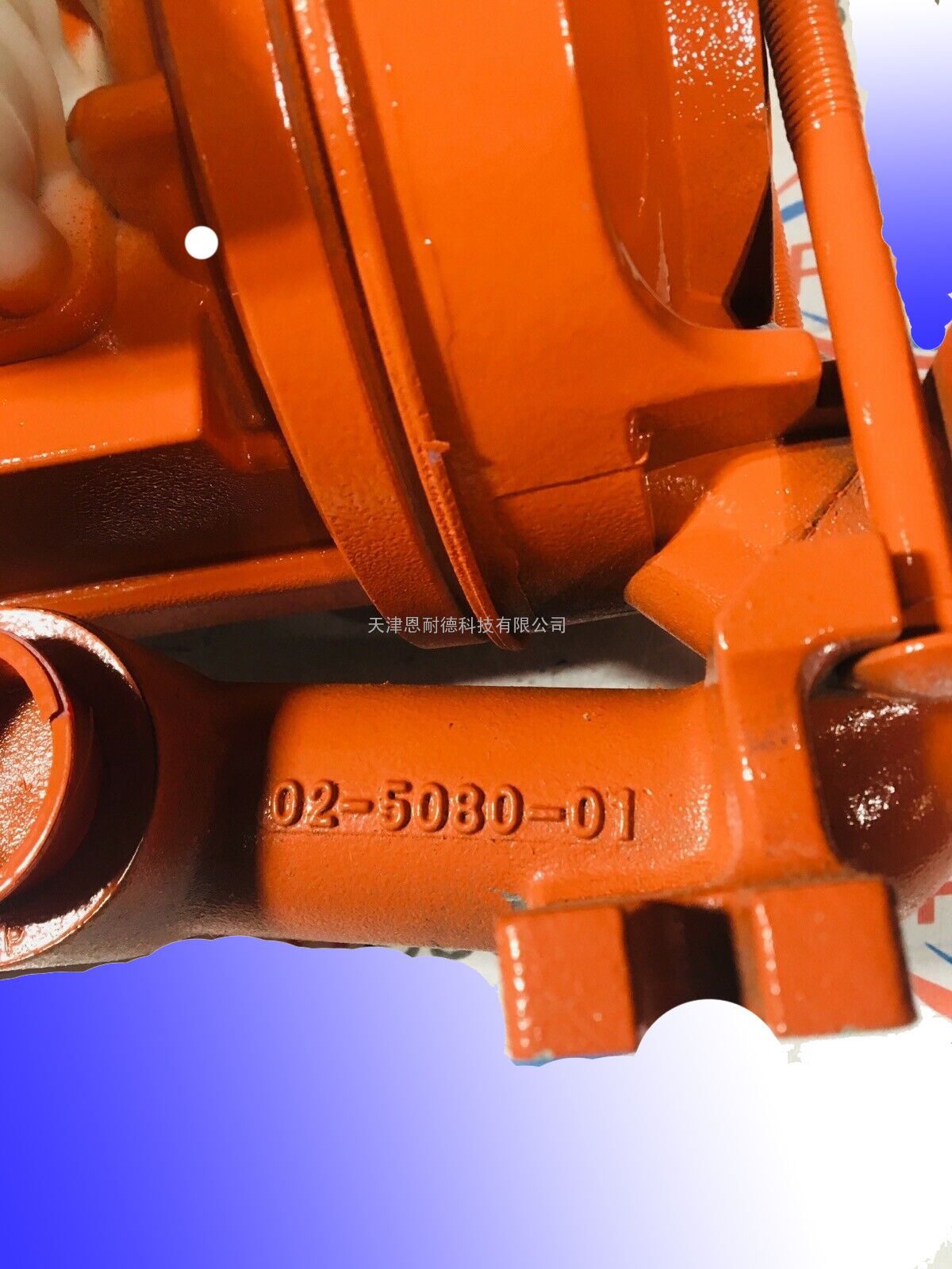 美国WILDEN威尔顿 P2 - 1" 金属泵（P2/ALLL/TS/TF/ATF/014）